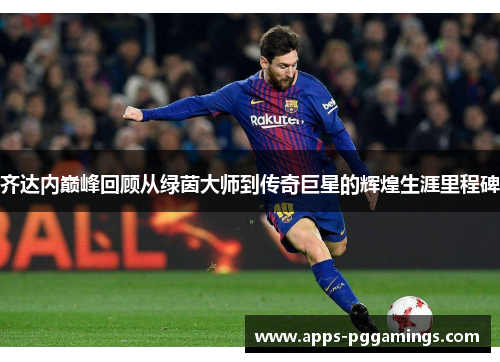 齐达内巅峰回顾从绿茵大师到传奇巨星的辉煌生涯里程碑